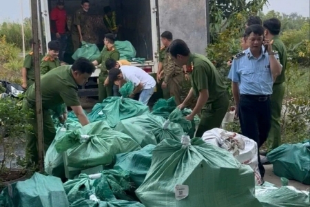 Cà Mau: Phát hiện hơn 4 tấn mỹ phẩm không rõ nguồn gốc