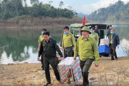 Hà Tĩnh: Tái thả 27 cá thể động vật hoang dã về môi trường tự nhiên