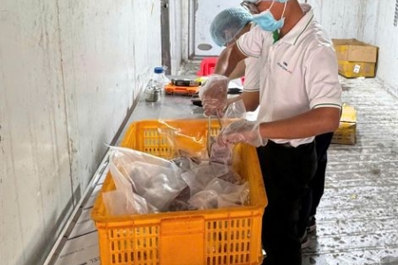 Triệt phá đường dây sản xuất, buôn bán thực phẩm giả quy mô lớn trước Tết Nguyên đán