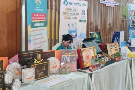 Yến Sào Việt Nam từ giá trị dinh dưỡng đến phát triển bền vững