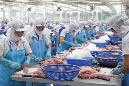 Ngành thủy sản đặt mục tiêu xuất khẩu 11,5 tỷ USD trong năm 2026