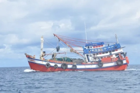 Đồng Tháp chi ngân sách hỗ trợ ngư dân chuyển đổi nghề