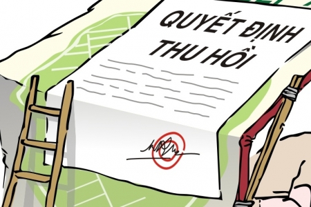 Bộ Y tế thu hồi giấy phép kinh doanh dược của Công ty Hóa Dược Quốc tế Phương Nam