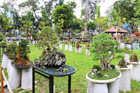 Đặc sắc lễ hội hoa xuân tại TP. HCM với chủ đề 'Sắc ngọ nghinh xuân'