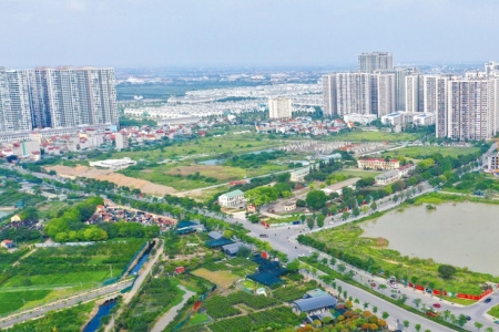 Dự án đầu tư kinh doanh nào phải tổ chức đấu thầu lựa chọn nhà đầu tư?