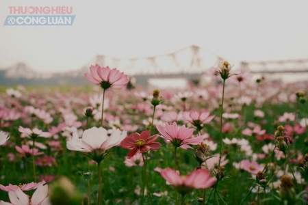 Thời tiết ngày 17/2: Miền Bắc mưa rét, Nam Bộ nắng nóng cục bộ