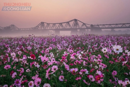 Thời tiết ngày 9/3: Miền Bắc mưa dông, trời chuyển rét