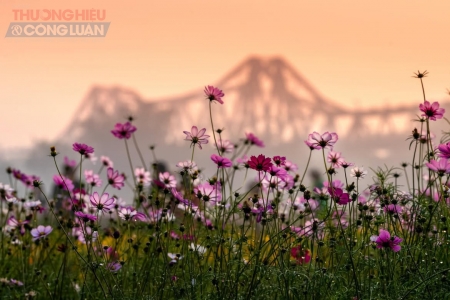 Bắc Bộ, Bắc Trung Bộ lạnh buốt từ mùng 2 Tết, vùng núi rét đậm