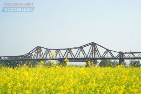 Thời tiết ngày 7/3: Bắc Bộ sáng sớm có sương mù, Hà Nội trời rét