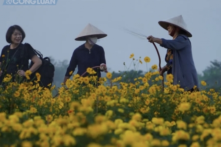 Thời tiết ngày 26/1: Bắc Bộ mưa phùn, Nam Bộ nắng ráo