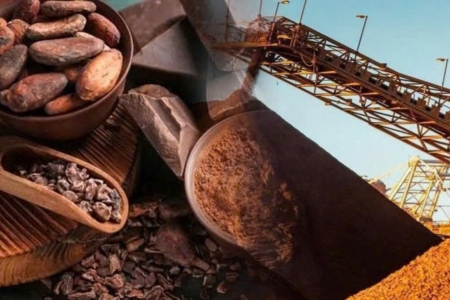 Thanh khoản sụt giảm trong ngày Mỹ nghỉ lễ, MXV-Index vẫn giữ sắc xanh