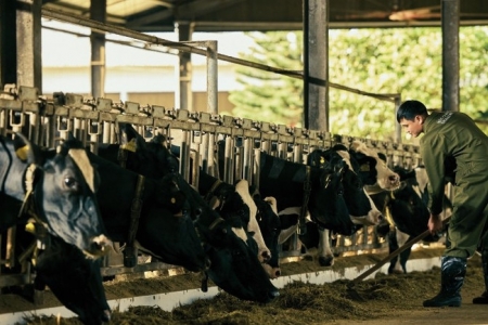 Mộc Châu Milk ghi nhận doanh thu đạt 721,2 tỷ đồng trong quý IV/2025