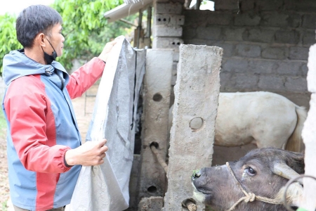 Bắc Ninh: Chủ động các biện pháp ứng phó với rét đậm, rét hại