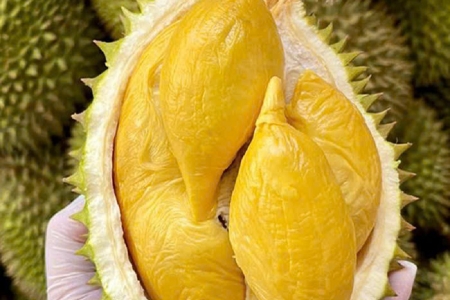 Giá sầu riêng hôm nay 22/1: Thị trường biến động