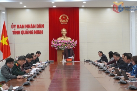 Quảng Ninh: Quyết liệt tháo gỡ vướng mắc, đẩy nhanh thi hành án vụ Vạn Thịnh Phát