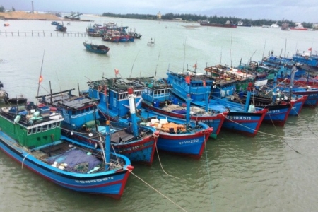 Quảng Trị chuyển đổi 771 tàu cá nhằm bảo vệ nguồn lợi và môi trường biển