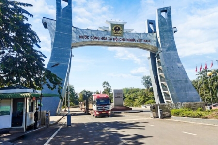 THILOGI triển khai vận chuyển bò xuất - nhập khẩu quy mô lớn