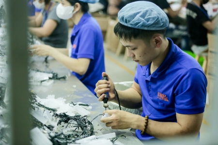 Thanh Hóa có 347 doanh nghiệp thành lập mới trong tháng 1/2026