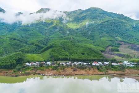 Thúc đẩy quản lý rừng bền vững và bảo tồn đa dạng sinh học