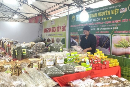 180 gian hàng tham gia Hội chợ Xuân Quảng Trị 2026