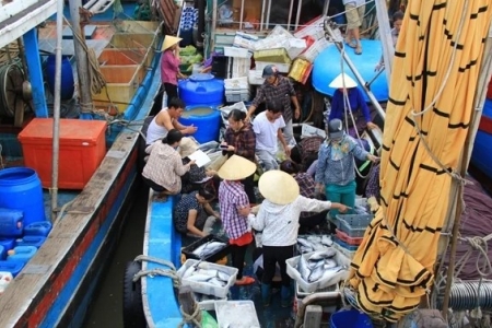 Thanh Hóa quản lý chặt chẽ hoạt động thu mua thủy sản khai thác