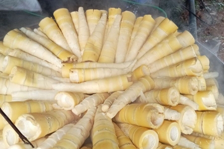 Quốc tế ca ngợi món ăn hàng đầu thế giới, người Việt ăn mỗi ngày mà không biết