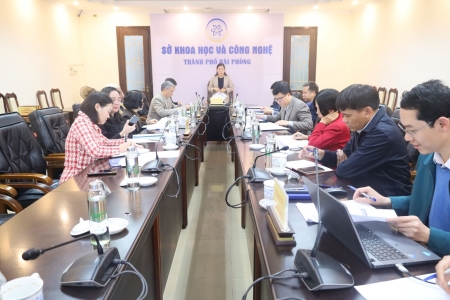 Hải Phòng: Nghiên cứu xây dựng mô hình sản xuất hoa Trà (Camellia japoniaca L.)