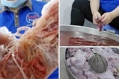 TP. HCM: Nhiều trường học tạm ngừng cung cấp suất ăn bán trú