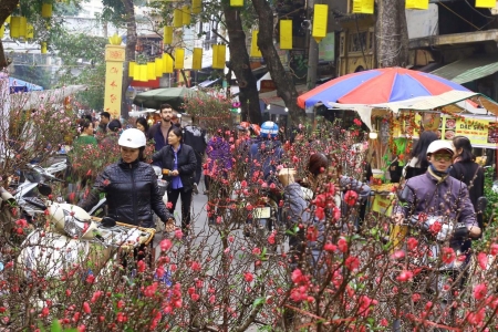 Hà Nội triển khai tổ chức chợ hoa phục vụ Tết Nguyên đán Bính Ngọ 2026