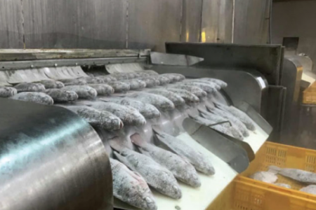 Kho báu Việt Nam được Mỹ săn lùng: Xuất khẩu tăng 499%, hưởng lợi thuế