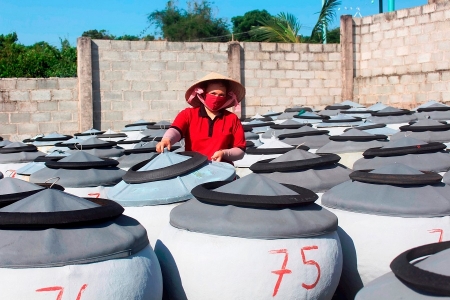 Lâm Đồng đề nghị đưa “Nghề nước mắm truyền thống Phan Thiết” vào Danh mục di sản văn hóa phi vật thể quốc gia