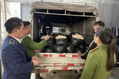 Ninh Bình: Xử phạt cơ sở kinh doanh 300kg giá đỗ không rõ nguồn gốc