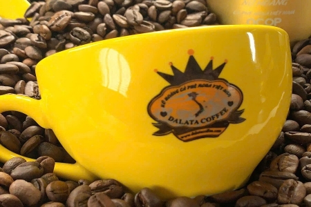 Dalata Coffee và câu chuyện OCOP 4 sao giữa sương mù cao nguyên