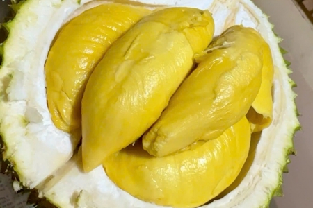 Giá sầu riêng hôm nay 31/1: Sầu Thái loại A chạm mốc 145.000 đồng/kg