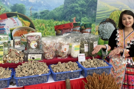 Hội chợ Mùa Xuân 2026 kéo dài từ ngày 2/2 đến 13/2