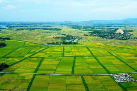 Sửa đổi, bổ sung quy định về phân cấp, phân quyền, phân định thẩm quyền trong lĩnh vực đất đai