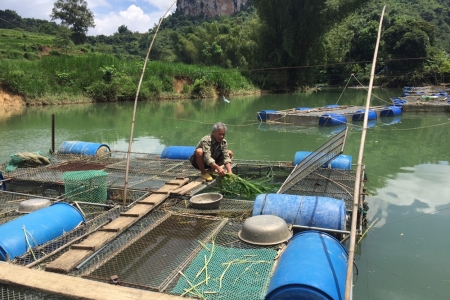 Cao Bằng sản lượng thủy sản đạt 613,64 tấn