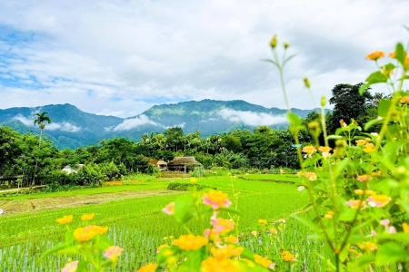 Xây dựng nông thôn phát triển toàn diện, hiện đại, nâng cao đời sống vật chất, tinh thần của nông dân