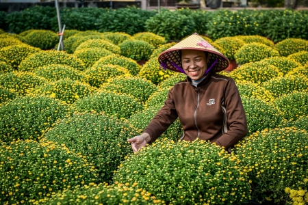 Làng hoa, cây cảnh Liễu Đề, Ninh Bình – Tạo sinh kế bền vững từ sức dân