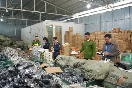 Thanh Hóa: Xử phạt 105 triệu đồng, tiêu hủy hàng loạt giày dép giả mạo nhãn hiệu