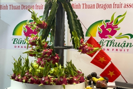Thanh long Lâm Đồng tham gia Hội chợ Fruit Logistica 2026 tại Đức