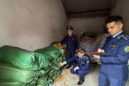 Cao Bằng: Tạm giữ hơn 2,5 tấn lá thuốc lá khô không rõ nguồn gốc