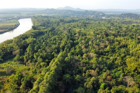 “Mỏ vàng xanh” trỗi dậy cùng thị trường carbon Việt Nam