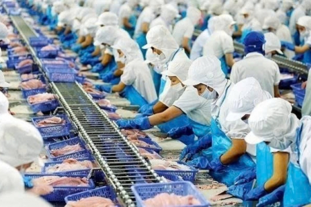 Vĩnh Hoàn (VHC) báo lãi quý IV/2025 gần 245 tỷ đồng, giảm mạnh so với cùng kỳ