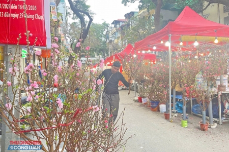 Chợ hoa Hàng Lược - nét văn hóa Tết trăm năm giữa lòng Hà Nội