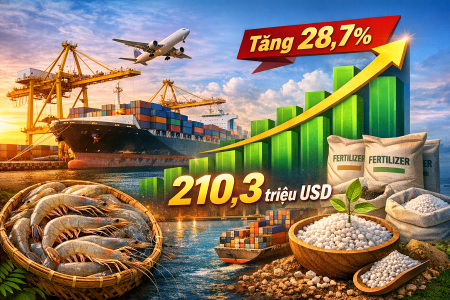 Xuất khẩu Cà Mau khởi sắc đầu năm 2026, tăng gần 29% so với cùng kỳ