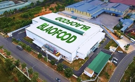 Antesco lên kế hoạch chi cổ tức sau khi vừa lên sàn HOSE