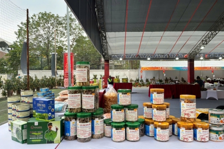 Hà Nội tổ chức không gian kết nối sản phẩm tiêu dùng, lan tỏa sắc Xuân Bính Ngọ 2026