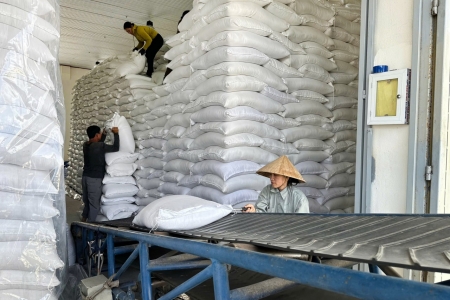 Xuất cấp hơn 1.685 tấn gạo dự trữ quốc gia hỗ trợ tỉnh An Giang và TP. Đà Nẵng trong dịp Tết