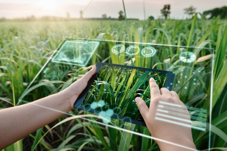 Toàn bộ dữ liệu của Bộ Nông nghiệp và Môi trường sẽ được số hóa